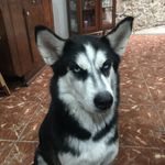 Profile Picture of Armando Rosas (@armando.rosas.562) on Instagram