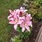 Profile Picture of Connie Kellerman (@connie.kellerman.96) on Facebook