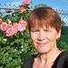 Profile Picture of Deborah Swift Weber (@deb2862) on Pinterest
