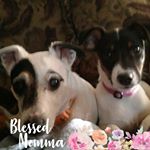 Profile Picture of Dawn Bradford Laughlin (@laughlin5150) on Instagram