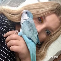Profile Picture of Brynn Thomas (@brynn-thomas-8) on Quora