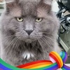 Profile Picture of Anthony Taggart (@@30198388329) on Tiktok