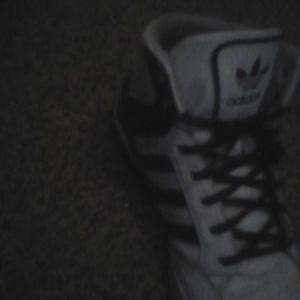 Profile Picture of Dominic Hull (@56e587f51b95436) on Twitter