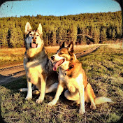 Profile Picture of Edlund Cnb (@edlundcnb143) on Youtube