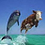 Profile Picture of Phyllis Davis (@pdavis630) on Flickr