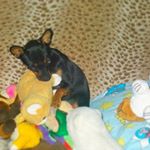 Profile Picture of Adam Piguła (@pigula_adam) on Instagram