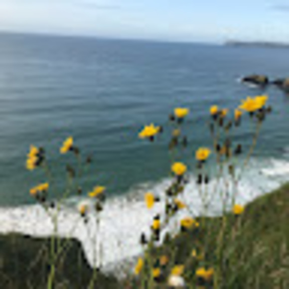 Profile Picture of James Ryan (@james_ryan7080) on Poshmark