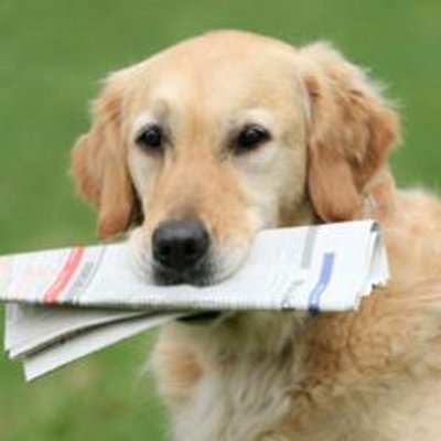 Profile Picture of CaryDee (@CaryDeeCary) on Twitter