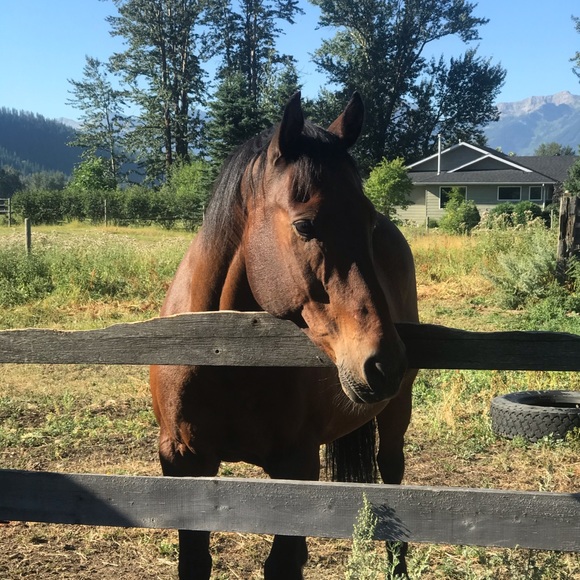 Profile Picture of Lucia Chappelle (@luciachappelle) on Poshmark