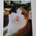 Profile Picture of Pam Kelly (@pam.kelly.14855) on Facebook
