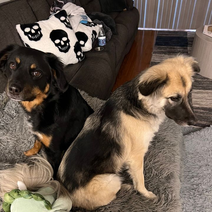 Profile Picture of Matthew Schorr (@attorr10) on Tiktok