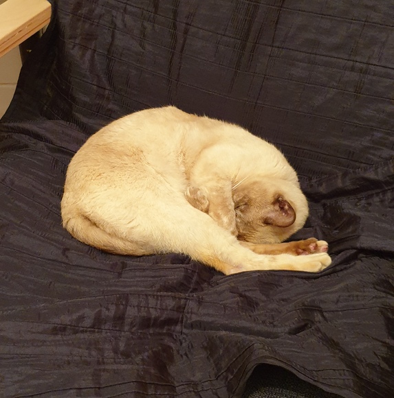 Penelope Giannoulis - Poshmark Profile Picture of Penelope Giannoulis (@pgiannoulis) on Poshmark