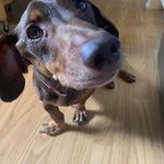 Profile Picture of Marie Alspaugh (@mariealspaugh) on Instagram
