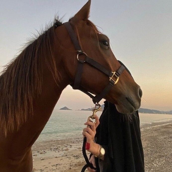 lujvin - Tiktok Profile Picture of lujvin (@lujvin) on Tiktok