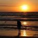 Profile Picture of Tara Walters Marvin (@tarawaltersmarv) on Pinterest