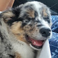 Profile Picture of Erik Bender (@erik-bender-12) on Quora