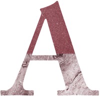 Profile Picture of Amanda Murcko (class Of 2020) (@amanda-murcko-class-of-2020) on Quora