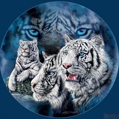 Profile Picture of BARRY Grime (@rejobber) on Twitter