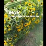 Profile Picture of Efren Montes De Oca Ocampo (@Efren-Montes-De-Oca-Ocampo) on Facebook