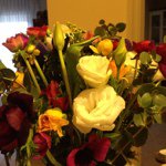 ornagolan - Instagram Profile Picture of ornagolan (@ornagolan) on Instagram