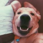 Profile Picture of Kali Patterson (@the_official_kali) on Instagram