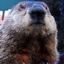 Profile Picture of Jon Saxton (@JonSaxton8) on Twitter