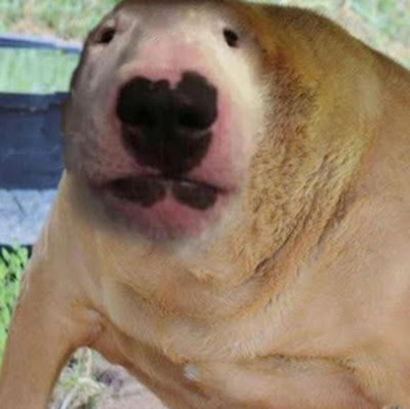 Profile Picture of Andrew Feliciano (@drewthababy672) on Poshmark