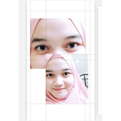 Profile Picture of Dina Lestari (@DinaLes87229560) on Twitter