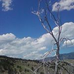 Profile Picture of Bob Bush (@captbob101) on Instagram