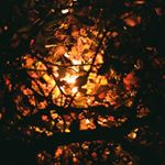 Profile Picture of Phạm Quang Anh (@phamquanganh.88) on Instagram