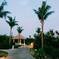 Davide Fiorentino - Quora Profile Picture of Davide Fiorentino (@davide-fiorentino-4) on Quora