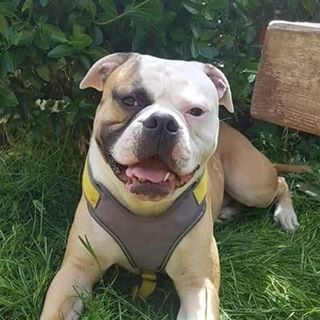 Profile Picture of Adam Bignell (@adam.bignell.566) on Facebook