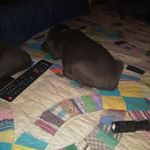 Profile Picture of james (@james_allen_gokey) on Instagram