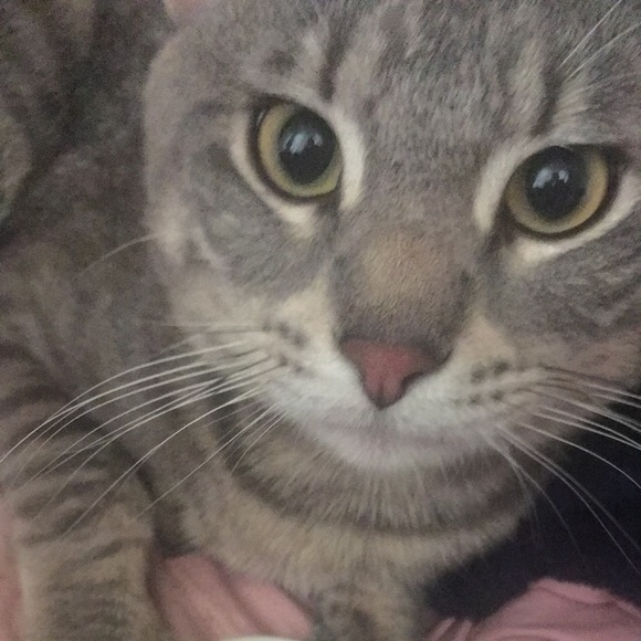 Justice Epton - Poshmark Profile Picture of Justice Epton (@justice_epton) on Poshmark