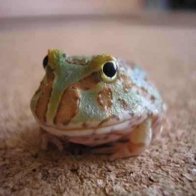Profile Picture of Athena Thomas (@AthenaT49416432) on Twitter