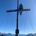 Profile Picture of David Pfausler (Panzl) (@David-Pfausler) on Facebook