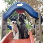 Profile Picture of Daniel Guttman (@daniel.guttman.71) on Instagram