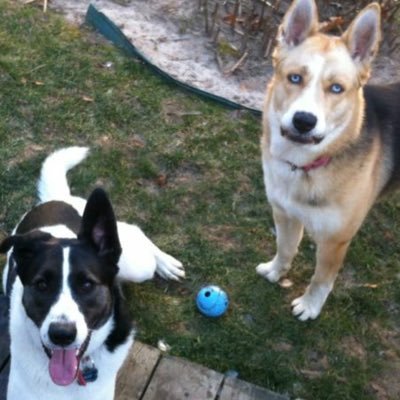 Profile Picture of Chris (@chris_lough) on Twitter