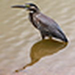 Profile Picture of Alex Lanza (@alex lanza fotografia) on Flickr