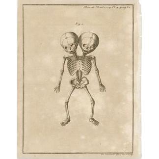 Mark Bridges - Twitter Profile Picture of Mark Bridges (@jmarkbridges) on Twitter