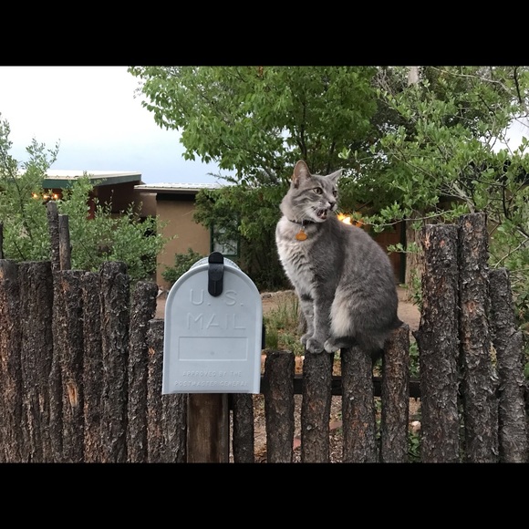 Profile Picture of James Mccray (@jmccray333) on Poshmark