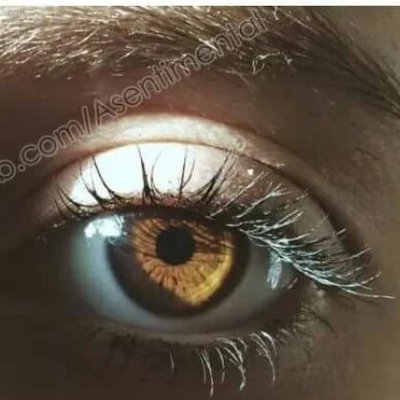 Profile Picture of Edith Jaime (@james19990222) on Twitter