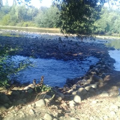 Profile Picture of Andy Sepúlveda (@AndySeplveda2) on Twitter