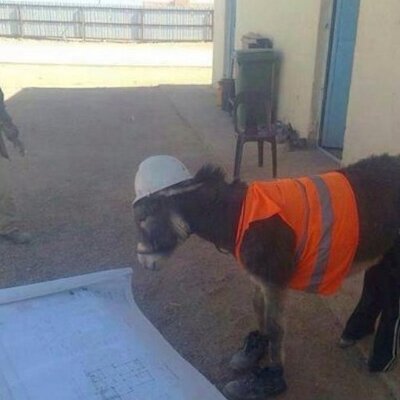 Profile Picture of Daniel Zollinger (@1_zollinger) on Twitter