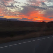 Profile Picture of Robin Bell (@robinbell9546) on Youtube