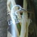 Nick Popovich - Instagram Profile Picture of Nick Popovich (@nick.popovich.712) on Instagram