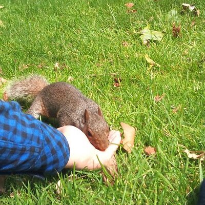 Profile Picture of Ben Likes Diamonds (@BenLikesDiamond) on Twitter