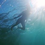 Profile Picture of Andrea Fisher (@seaing_sanctuaries) on Instagram