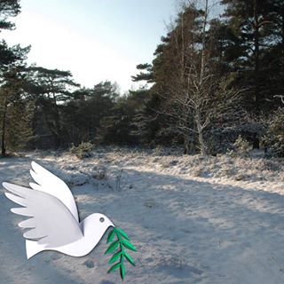 Profile Picture of Leila Jaffar (@leila.jaffar) on Facebook