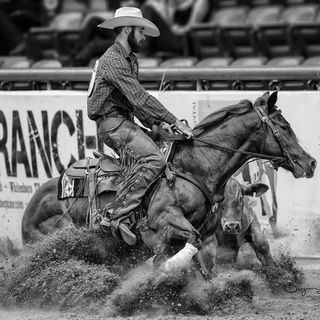 Profile Picture of Clayton Anderson (@candersonperformancehorses) on Instagram